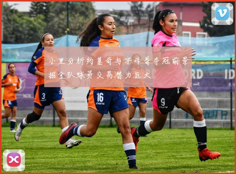 小里分析约基奇与字母哥夺冠前景掘金队球员交易潜力巨大